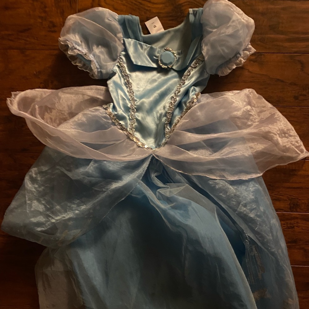 Disney Cinderella dress